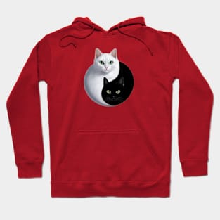 Yin Yang by two cats Hoodie